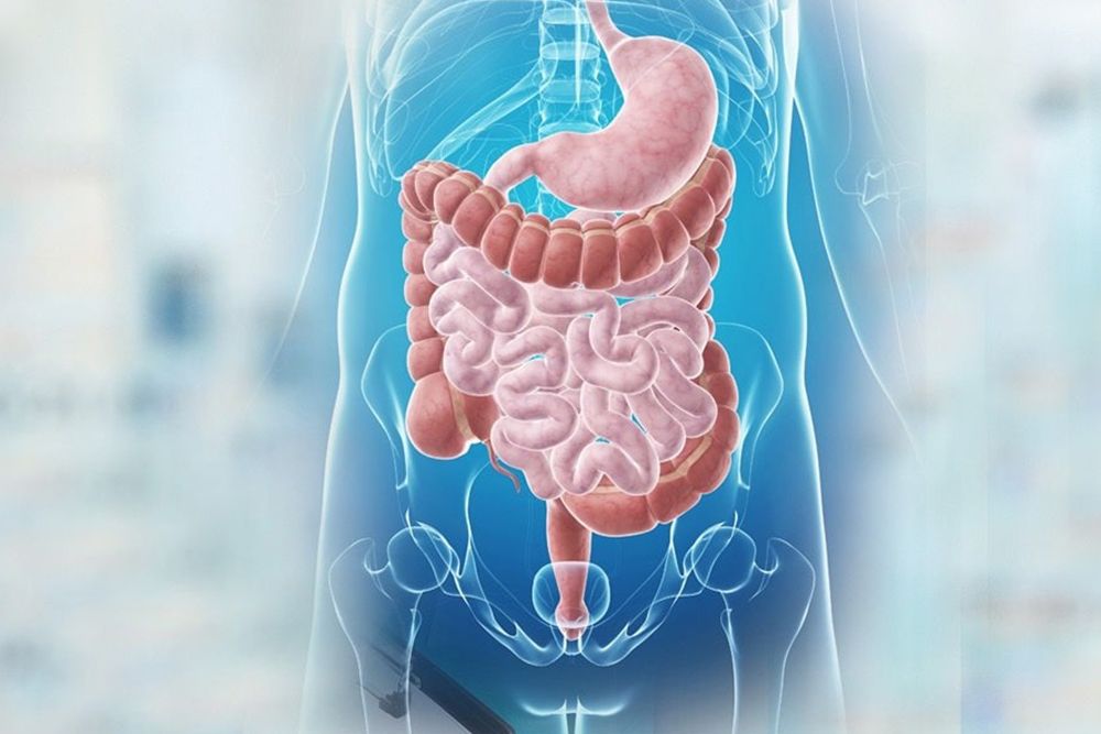 Gastroenterology Gastroenterology