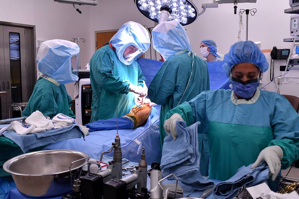Orthopaedics Surgery Orthopaedics Surgery