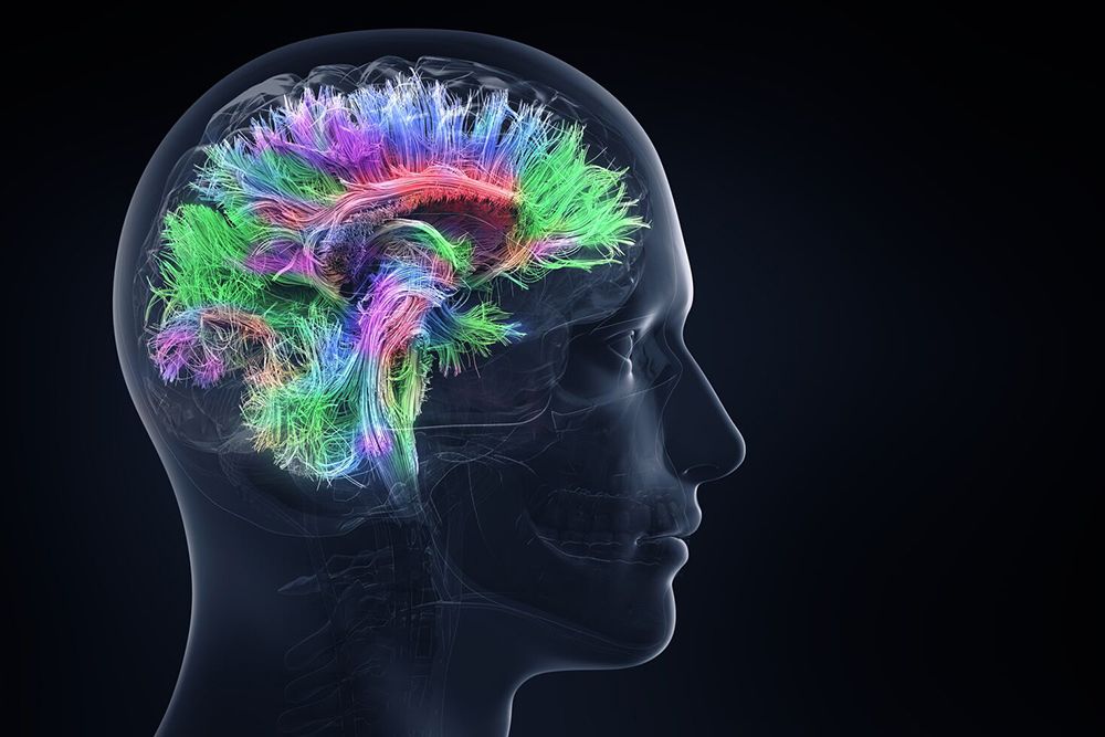 Psychiatry (OPD) Psychiatry (OPD)